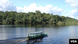 Undang-undang lingkungan yang lebih ketat di Brazil diharapkan mengurangi penggundulan hutan di Amazon.