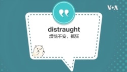 学个词 - distraught