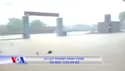 Lũ lụt hoành hành vùng ‘sa mạc’ của Ấn Độ