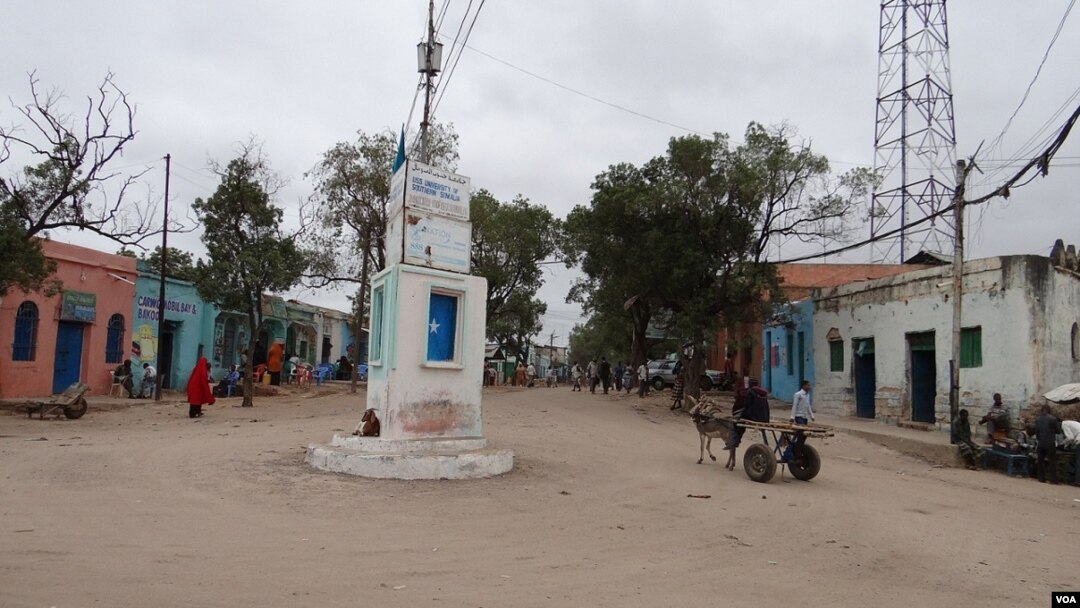 Bartamaha Baydhabo
