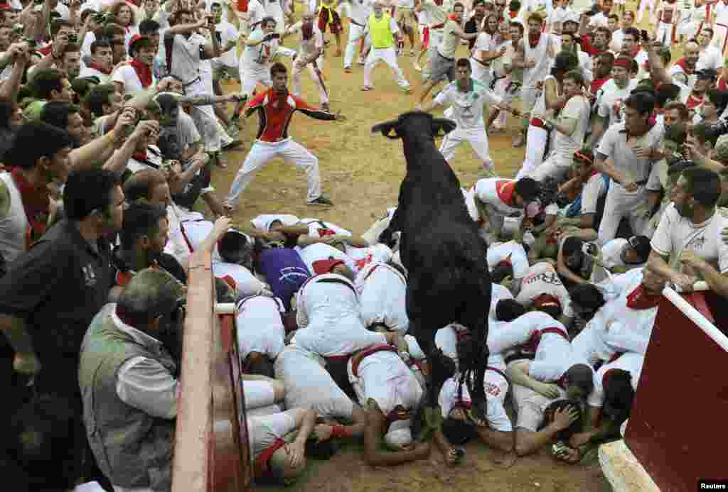 A fighting cow leaps over revellers upon entering the bullring following the second running of the bulls of the San Fermin festival in Pamplona July 8, 2013. REUTERS/Eloy Alonso (SPAIN - Tags: ANIMALS SOCIETY) - RTX11GHZ