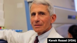 Dr. Anthony Fauci