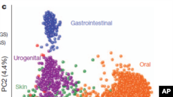 Microbe_Microbiome_Nature
