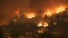 그리스 폭염 속 산불 확산… ‘악몽 같은 여름’