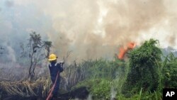 Seorang petugas pemadam kebakaran berupaya memadamkan api kebakaran hutan di Pekanbaru, provinsi Riau, 27 Februari 2014 (Foto: dok).