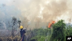 Pemadam kebakaran berusaha memadamkan api di hutan di Riau, Februari 2014. (AP/Ronny Muharrman)