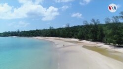 AMBIENTE: ONU informe devastador sobre biodiversidad