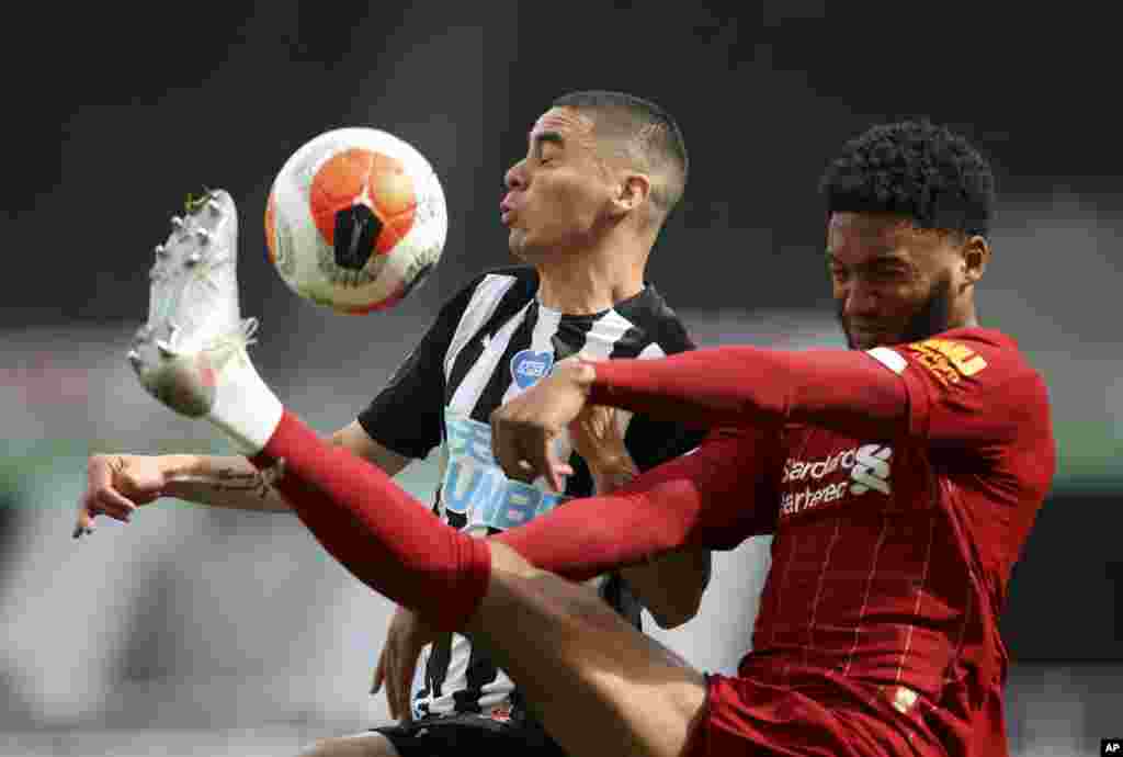 Liverpool&#39;s Joe Gomez, right, challenges Newcastle&#39;s Miguel Almiron during the English Premier League soccer match between Newcastle and Liverpool at St. James&#39; Park in Newcastle, England.