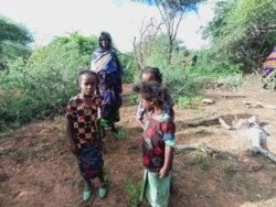 Thousands of people have been displaced from Wachile in the southern Oromia region of Ethiopia, by huge swarms of locusts, May 5, 2020.