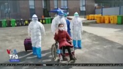 اخبار شبانگاهی