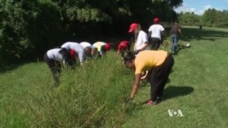 Urban Forest Grows in Small US Town