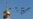 NATO Tracks Russian Warplanes in European Airspace