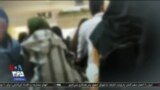 اخبار شامگاهی