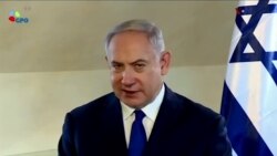 اخبار شامگاهی