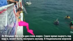 Музыка под водой