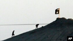FILE - Militants with the Islamic State group are seen after placing their group's flag on a hilltop at the eastern side of the town of Kobani, Syria. 