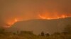 (arquivo) Incêndio de Kranshoek, na província do Cabo Ocidental, matando várias pessoas, destruindo casas e obrigando à evacuação de cerca de 10 000 pessoas (Junho 2017)