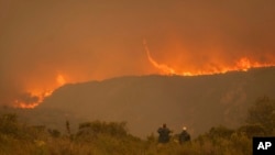 (arquivo) Incêndio de Kranshoek, na província do Cabo Ocidental, matando várias pessoas, destruindo casas e obrigando à evacuação de cerca de 10 000 pessoas (Junho 2017)