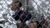 Subcomisión del Congreso investiga muertes de niños en la frontera