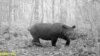 "Sumatran Rhino Sanctuary", Upaya Penyelamatan Badak Sumatra