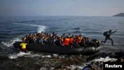 Seorang migran dari Afghanistan melompat dari rakit yang penuh sesak ke pulau Lesbos di Yunani, 19 Oktober 2015 (Foto: dok). 