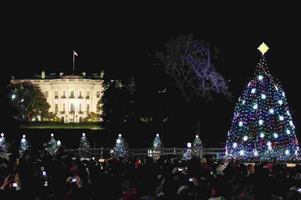 Pohon Natal Nasional dinyalakan di depan Gedung Putih pada sebuah upacara di Washington, 1 Desember 2011 (Reuters/Molly Riley).