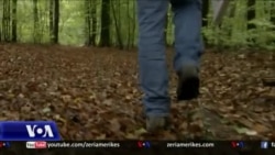 100 vjetori i fundit të Luftës së Parë Botërore