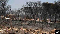 ARCHIVO - Esta fotografía del 19 de julio de 2023 muestra árboles quemados y un vehículo calcinado después de un incendio forestal, en Mandra, al oeste de Atenas.
