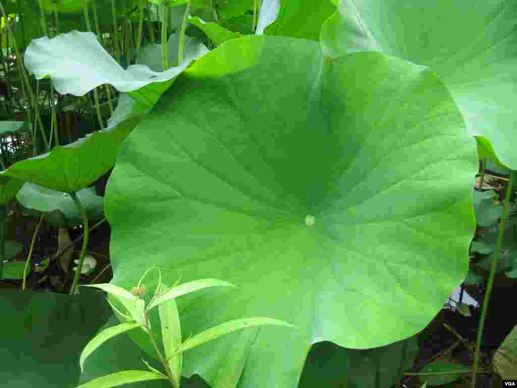 Daha sonra ABD Hazine Bakanlığı&#39;nda iş bulur ve evlenir