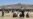 Afghan War Orphan Remains with Marine Accused of Abduction