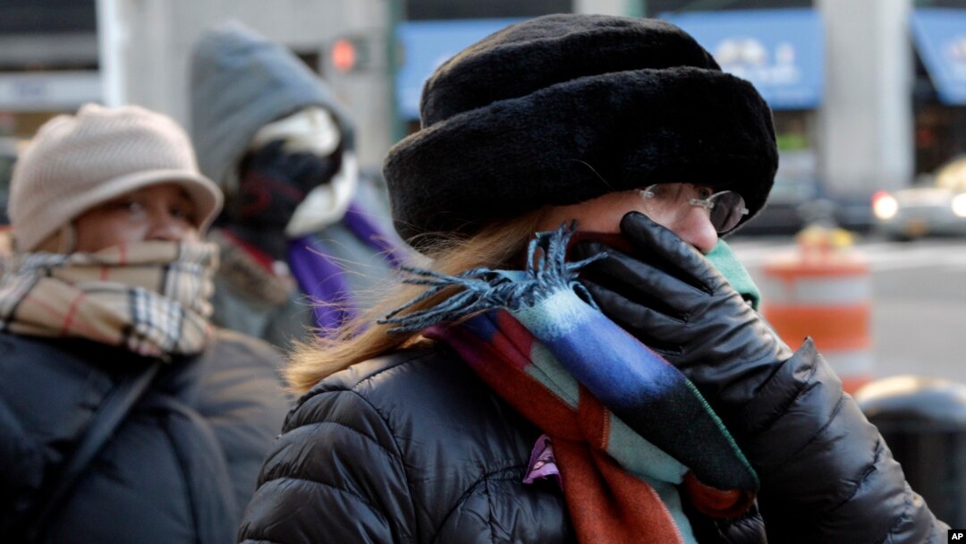 Reporter's Notebook: 'Polar Vortex' Hits New York City