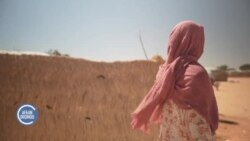 Ijoolleen Daarfur Hookkara Dheessan Harka Warra Hojii Humnaatti Isaan Bobbaasanii Bu’an