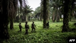 Des soldats tanzaniens de la Monusco en patrouille contre les rebelles de la Force démocratique alliée ougandaise (ADF) à Beni le 13 novembre 2018.