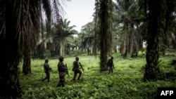 Ba soda ya Tanzanie ya Monusco na Beni, Nord-Kivu, 13 novembre 2018.