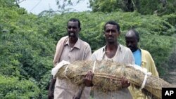 An unidentified displaced Somali man carries the remains of his child who died of malnutrition for burial at the Badbado settlement in southern Mogadishu, August 4, 2011