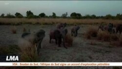 A la découverte du parc national de la Pendjari