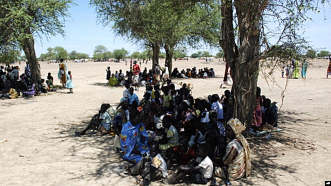 Internally displaced people sit under a tree in Turalei, in the south's Twic county, about 130 km (80 miles) from Abyei, May 27, 2011