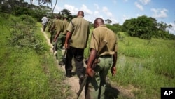 FILE - Armed members of the Kenyan security forces march through dense swamp and forest in the remote village of Kaisari, near Mpeketoni, on the coast of Kenya, June 17, 2014.