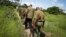 FILE - Armed members of the Kenyan security forces march through dense swamp and forest in the remote village of Kaisari, near Mpeketoni, on the coast of Kenya, June 17, 2014.