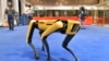 На фото: робот компанії Boston Dynamics. Січень 2021