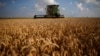 Asia’s Middle Class Changes Demand for Wheat Grain Exporters