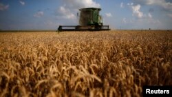 FILE - A combine drives through a field of soft red winter wheat during the harvest on a U.S. farm, July 16, 2013. 