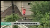 美国观察 2017年8月29日