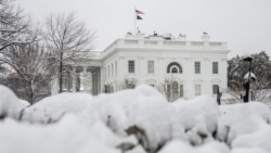 Semak-semak di luar Gedung Putih di Washington, D.C., tertutup salju tebal, 12 Februari 2025. (ANDREW CABALLERO-REYNOLDS / AFP)