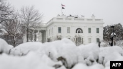 Semak-semak di luar Gedung Putih di Washington, D.C., tertutup salju tebal, 12 Februari 2025. (ANDREW CABALLERO-REYNOLDS / AFP)