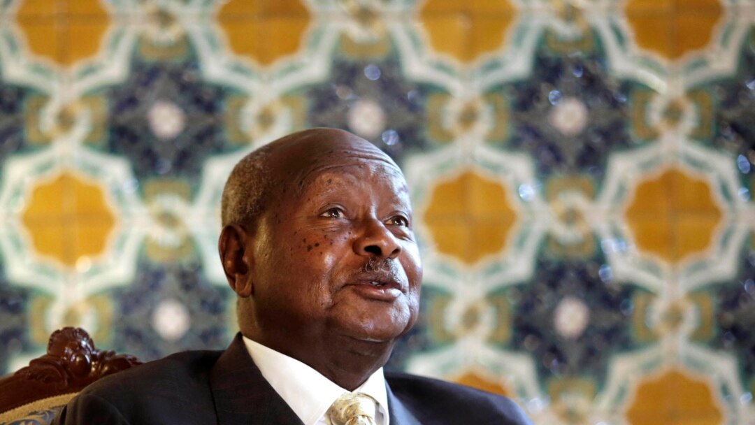 6e9ad66f-91f8-4dc2-a484-