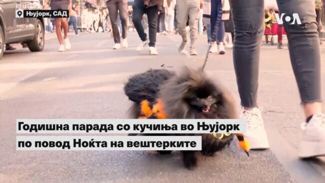 Годишна парада со кучиња во Њујорк по повод Ноќта на вештерките