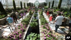 FILE - Indoor and outdoor plants are seen at a glassed-in conservatory in St. Paul, Minnesota, June 3, 2014. Based on a recent study, scientists recommend keeping varieties of plants as each absorbs different pollutants.