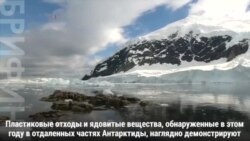 Пластиковые отходы угрожают Антарктиде – Greenpeace
