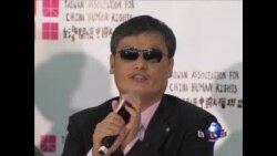 陈光诚：台湾能成为中国的政治典范